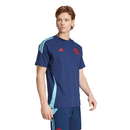 Flamengo viagem 2025