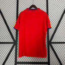 Camisola Espanha home 2010 Retro, vista traseira em fundo de grade, ideal para fãs de futebol.