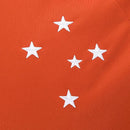 Cruzeiro treino 24/25