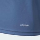 Cruzeiro treino 24/25